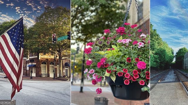 66 White Spruce Way, Newnan, GA 30265