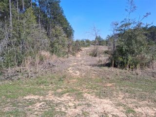 0 Old Citronelle Highway, Chunchula, AL 36521