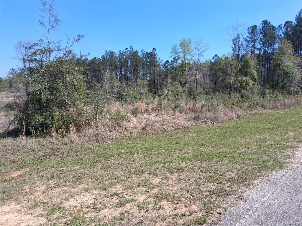 0 Old Citronelle Highway, Chunchula, AL 36521 — photo 2
