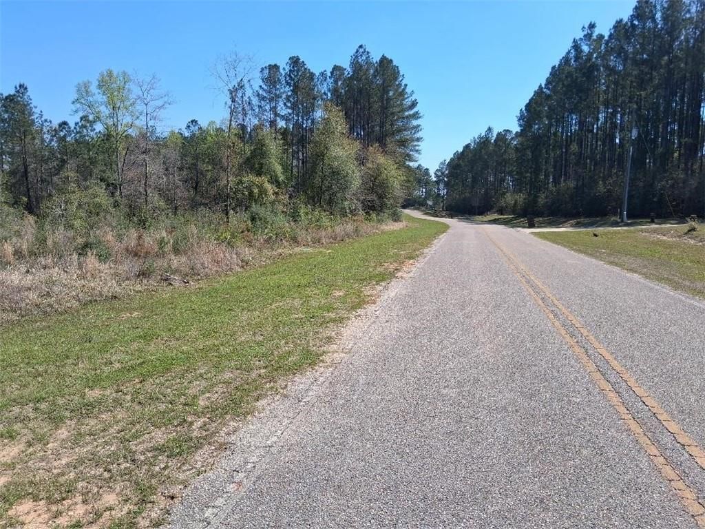 0 Old Citronelle Highway, Chunchula, AL 36521 — photo 3