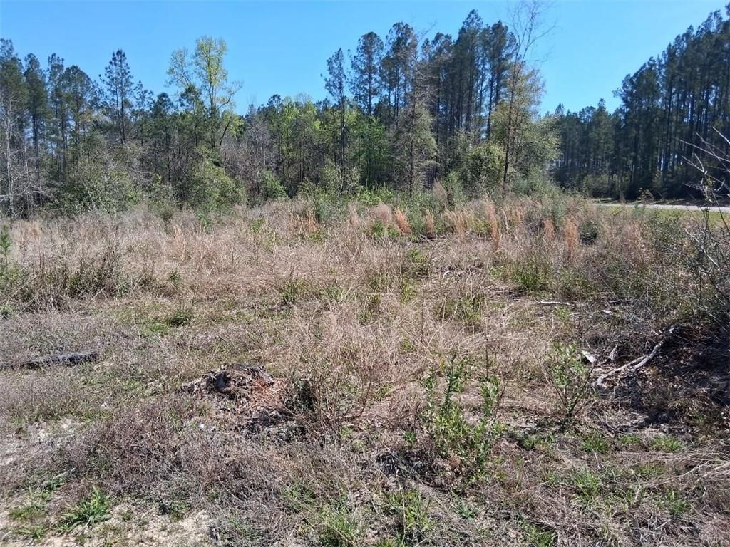 0 Old Citronelle Highway, Chunchula, AL 36521 — photo 4