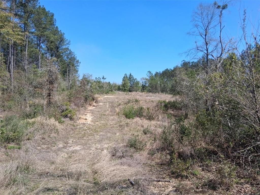 0 Old Citronelle Highway, Chunchula, AL 36521 — photo 5