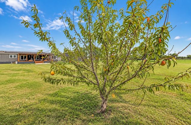 213 River Front Drive, Cedar Creek, TX 78612