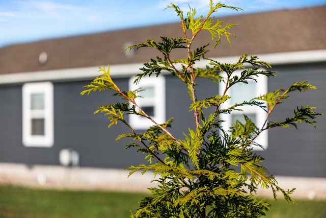 59 Village Lane, Russell Springs, KY 42642