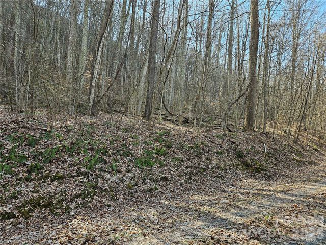 00 Red Wolf Run Road E-7, Mars Hill, NC 28754