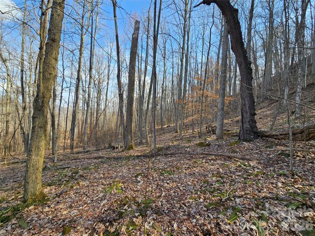 00 Red Wolf Run Road E-7, Mars Hill, NC 28754