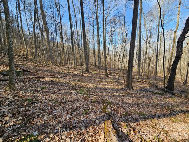 00 Red Wolf Run Road E-7, Mars Hill, NC 28754