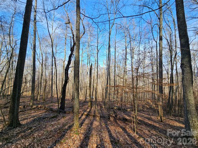 00 Red Wolf Run Road E-7, Mars Hill, NC 28754