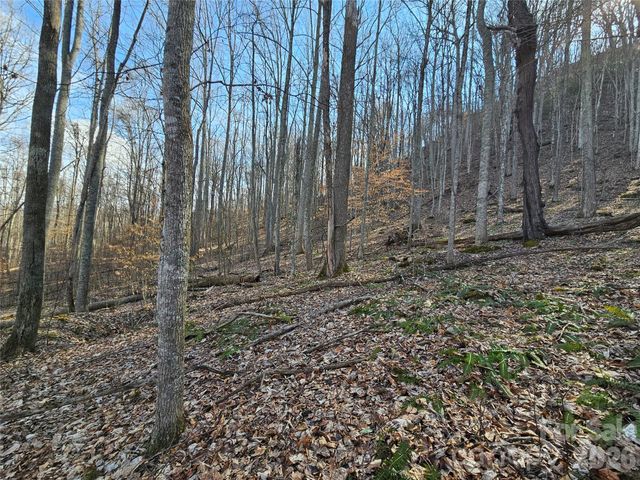 00 Red Wolf Run Road E-7, Mars Hill, NC 28754