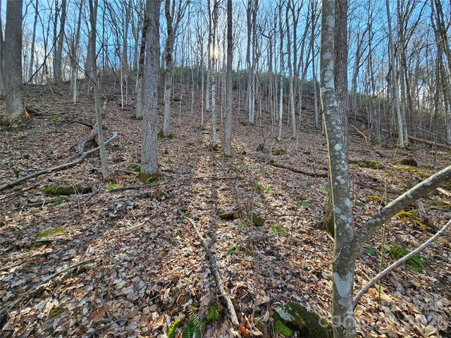 00 Red Wolf Run Road E-7, Mars Hill, NC 28754