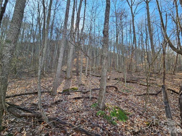 00 Red Wolf Run Road E-7, Mars Hill, NC 28754