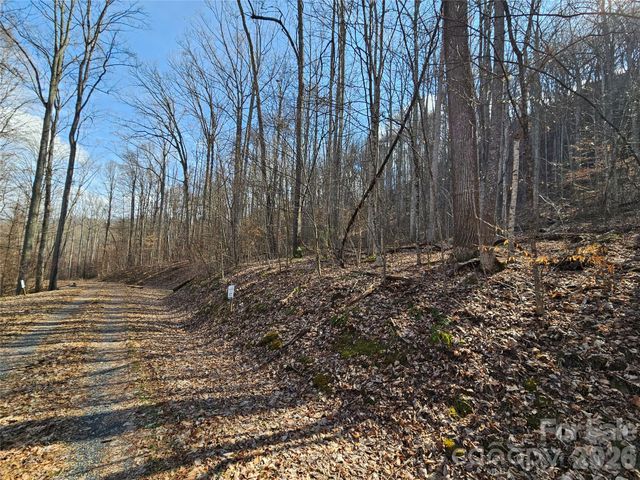 00 Red Wolf Run Road E-7, Mars Hill, NC 28754
