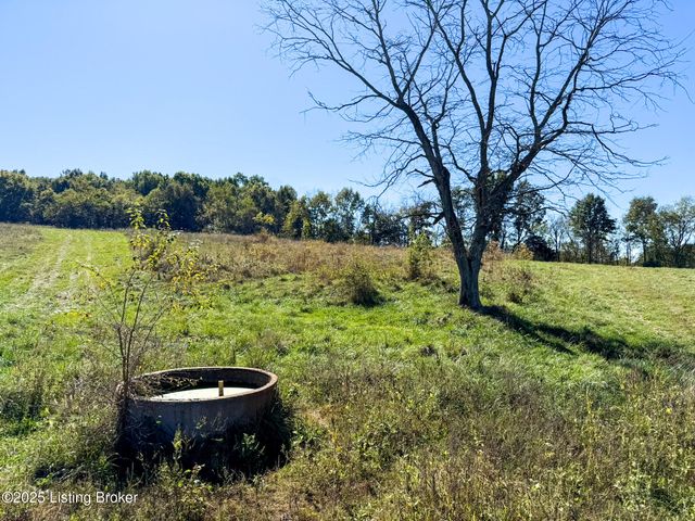 1215 Mike Brown Ln, Taylorsville, KY 40071