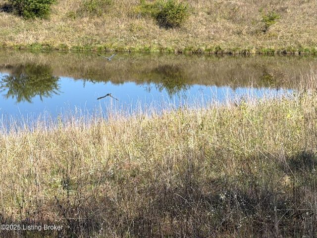 1215 Mike Brown Ln, Taylorsville, KY 40071