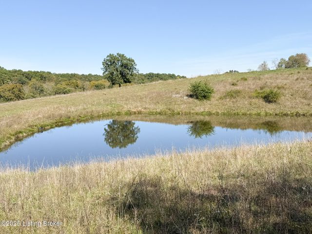 1215 Mike Brown Ln, Taylorsville, KY 40071