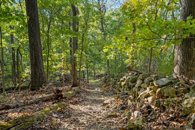 433 Grayson Dr, Nashville, TN 37205