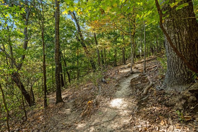 433 Grayson Dr, Nashville, TN 37205