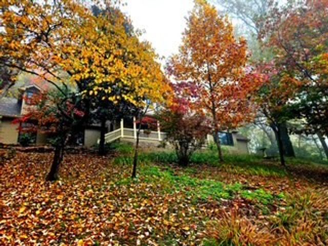 433 Grayson Dr, Nashville, TN 37205