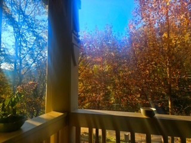 433 Grayson Dr, Nashville, TN 37205