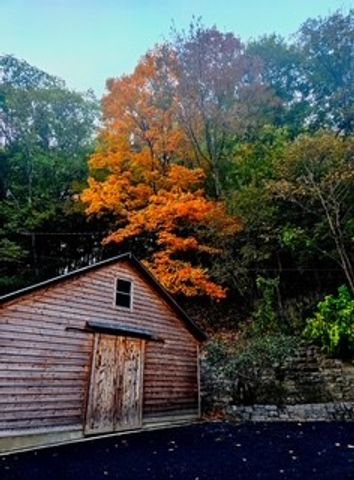 433 Grayson Dr, Nashville, TN 37205