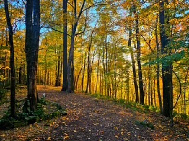 433 Grayson Dr, Nashville, TN 37205