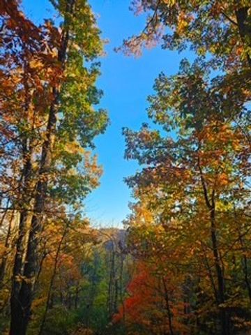 433 Grayson Dr, Nashville, TN 37205