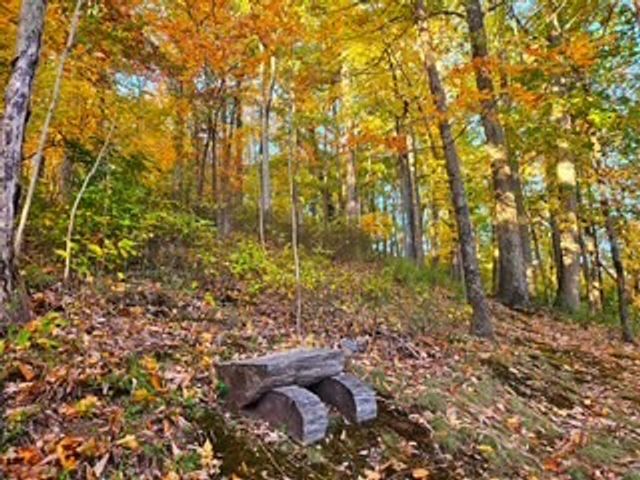 433 Grayson Dr, Nashville, TN 37205