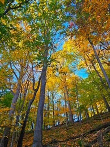 433 Grayson Dr, Nashville, TN 37205