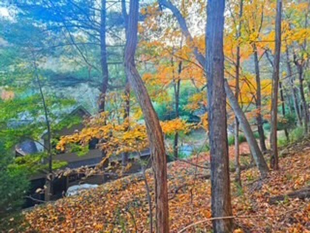 433 Grayson Dr, Nashville, TN 37205