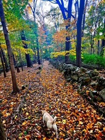 433 Grayson Dr, Nashville, TN 37205