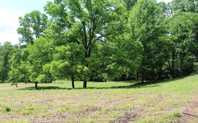 lot 8 High Meadows, Hayesville, NC 28904