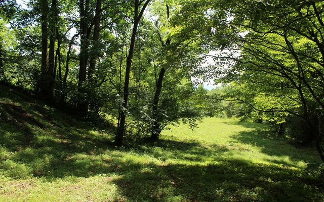 lot 8 High Meadows, Hayesville, NC 28904