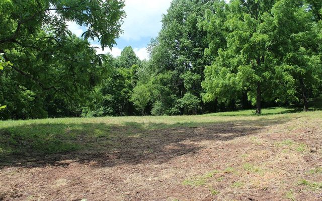 lot 8 High Meadows, Hayesville, NC 28904