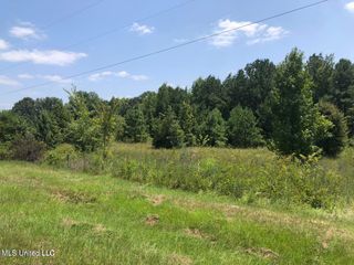 825 Sulphur Springs Rd, Canton, MS 39046