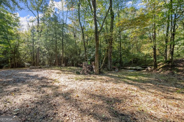 0 Ray Palmer Road, Cleveland, GA 30528