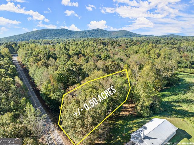 0 Ray Palmer Road, Cleveland, GA 30528