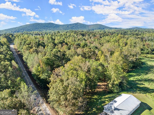 0 Ray Palmer Road, Cleveland, GA 30528