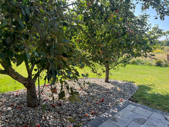 8866 Cascade Road SE, Ada, MI 49301