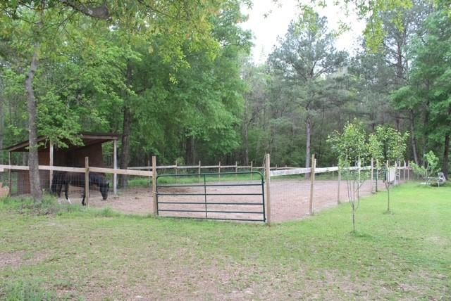 31 Elendor Drive, Cleveland, TX 77328