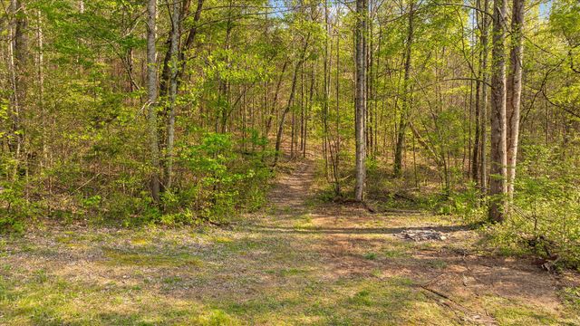 145 Cora Lane, Ringgold, GA 30736