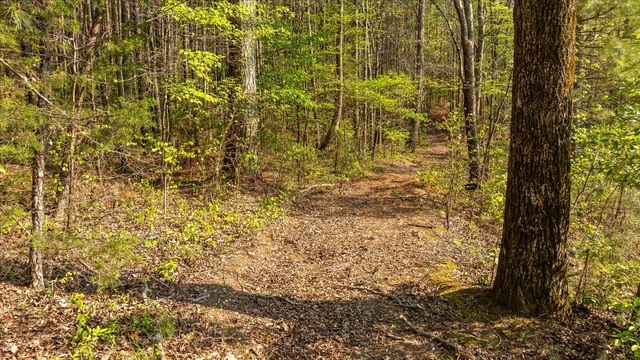 145 Cora Lane, Ringgold, GA 30736