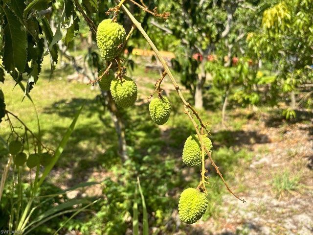 6640 Sunrise LN, Bokeelia, FL 33922