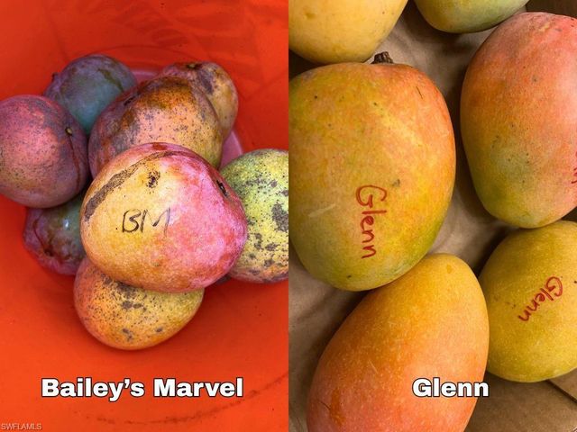 6640 Sunrise LN, Bokeelia, FL 33922