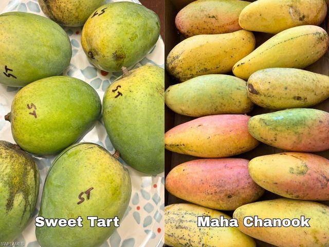 6640 Sunrise LN, Bokeelia, FL 33922