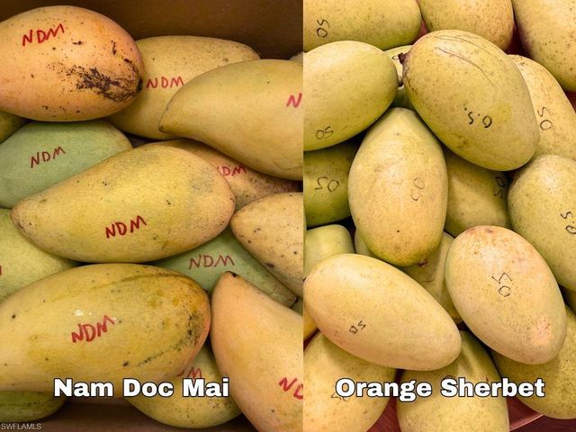 6640 Sunrise LN, Bokeelia, FL 33922