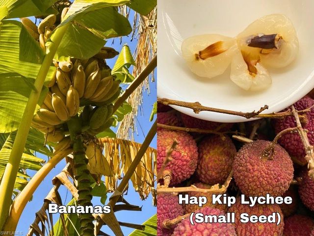 6640 Sunrise LN, Bokeelia, FL 33922