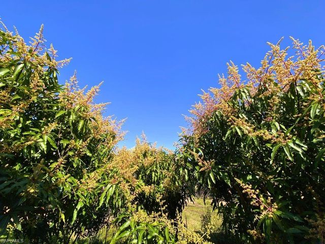 6640 Sunrise LN, Bokeelia, FL 33922