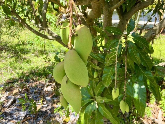 6640 Sunrise LN, Bokeelia, FL 33922