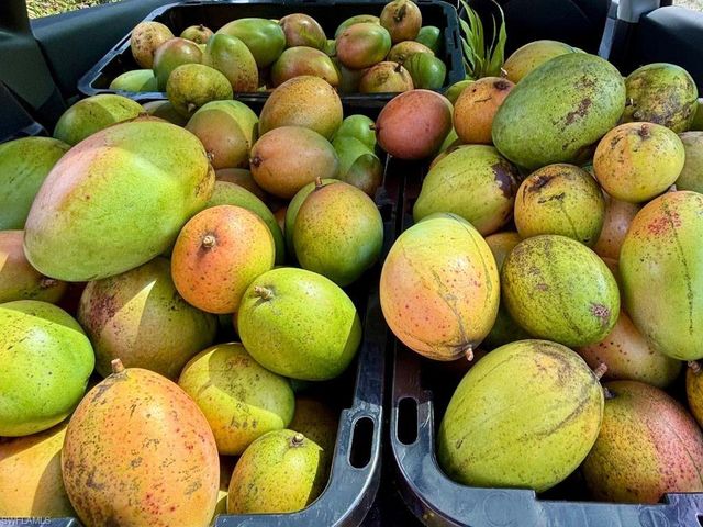 6640 Sunrise LN, Bokeelia, FL 33922