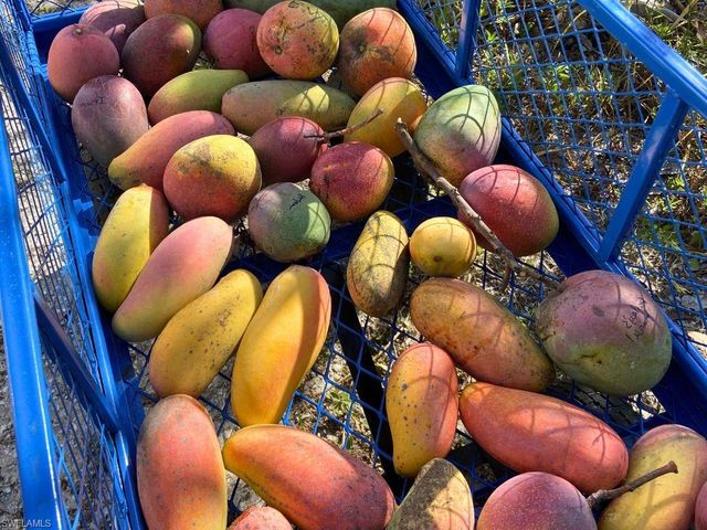 6640 Sunrise LN, Bokeelia, FL 33922